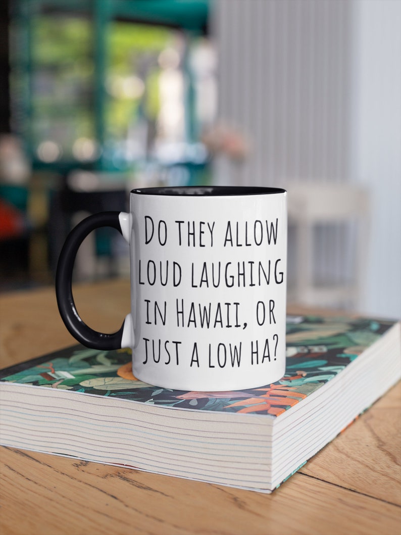 Permettent-ils de rire fort à Hawaï, Funny Dad Jokes Gifts for Him, White Elephant Gifts, Christmas Gift Ideas, Gag Gift image 2