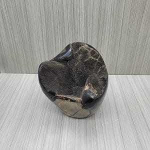 Septarian Jasper