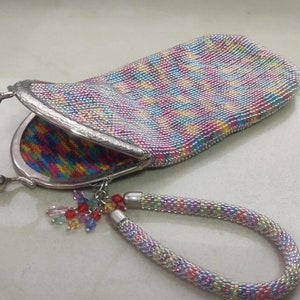 case for glasses, beaded handbag-case, small handbag