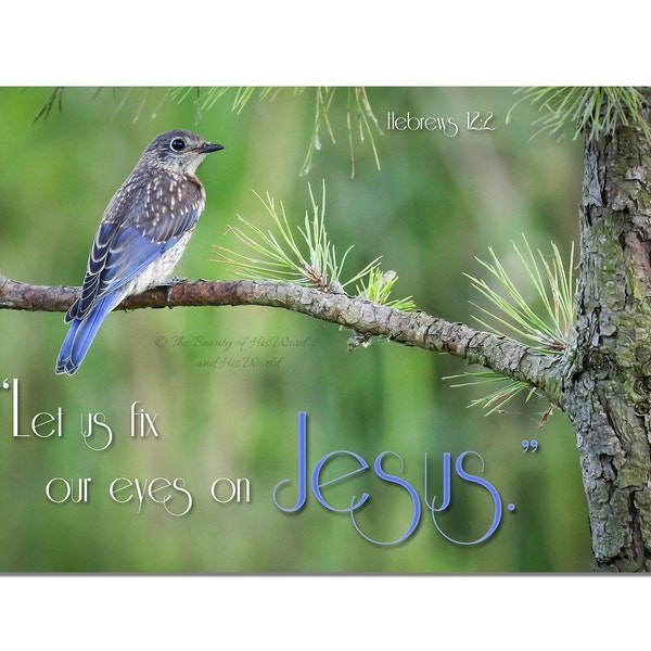 Bluebird With Scripture Bluebird Print - Etsy