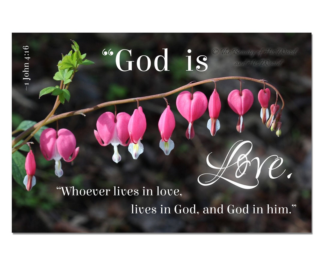 1 John 416 God is Love Bible Verse Photo Wedding Gift Etsy Finland