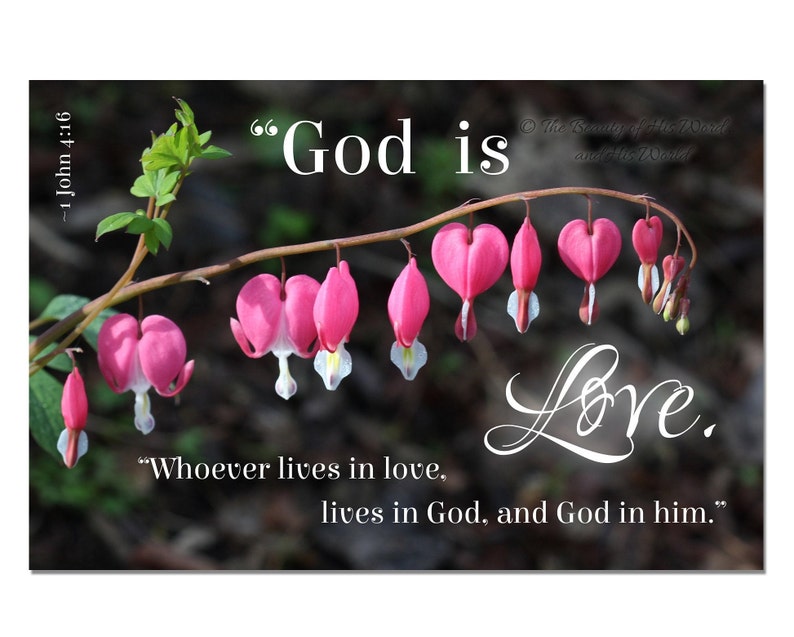 1 John 4:16  God Is Love  Bible Verse Photo  Wedding Gift  image 1