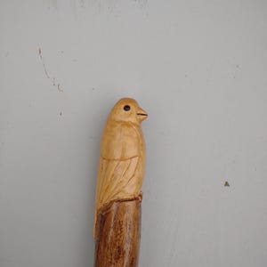 Walking stick cane hand carved realistic bird on top