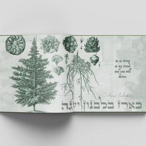 Wise Friends A Jewish Children's Book Rooted in Our Natural World image 4