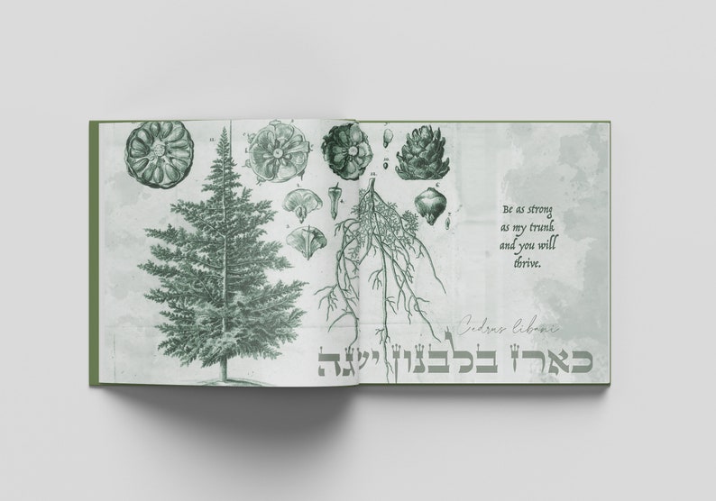 Wise Friends A Jewish Children's Book Rooted in Our Natural World image 4