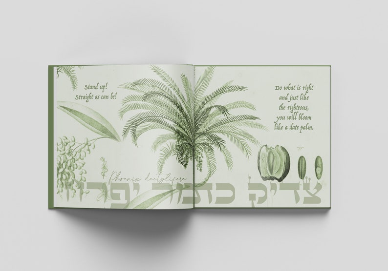 Wise Friends A Jewish Children's Book Rooted in Our Natural World image 2