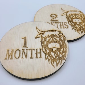 Highland Cow Monthly Milestones