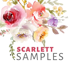 Puede incluir: Una pintura de acuarela de un ramo de flores rosas, amarillas y moradas con hojas verdes. El texto "SCARLETT SAMPLES" está escrito debajo de las flores.