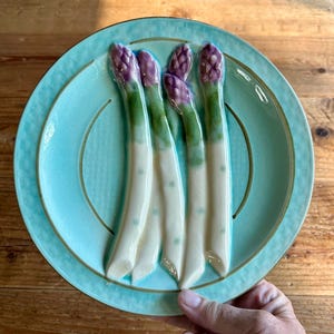 French Antique Barbotine Majolica Asparagus Plate, 9.5”