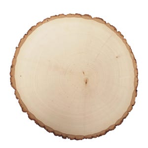 May include: A round, natural wood slice with a light tan center and a dark brown, textured bark edge. The wood grain is visible, showing concentric rings. This rustic piece is suitable for crafts or home decor.