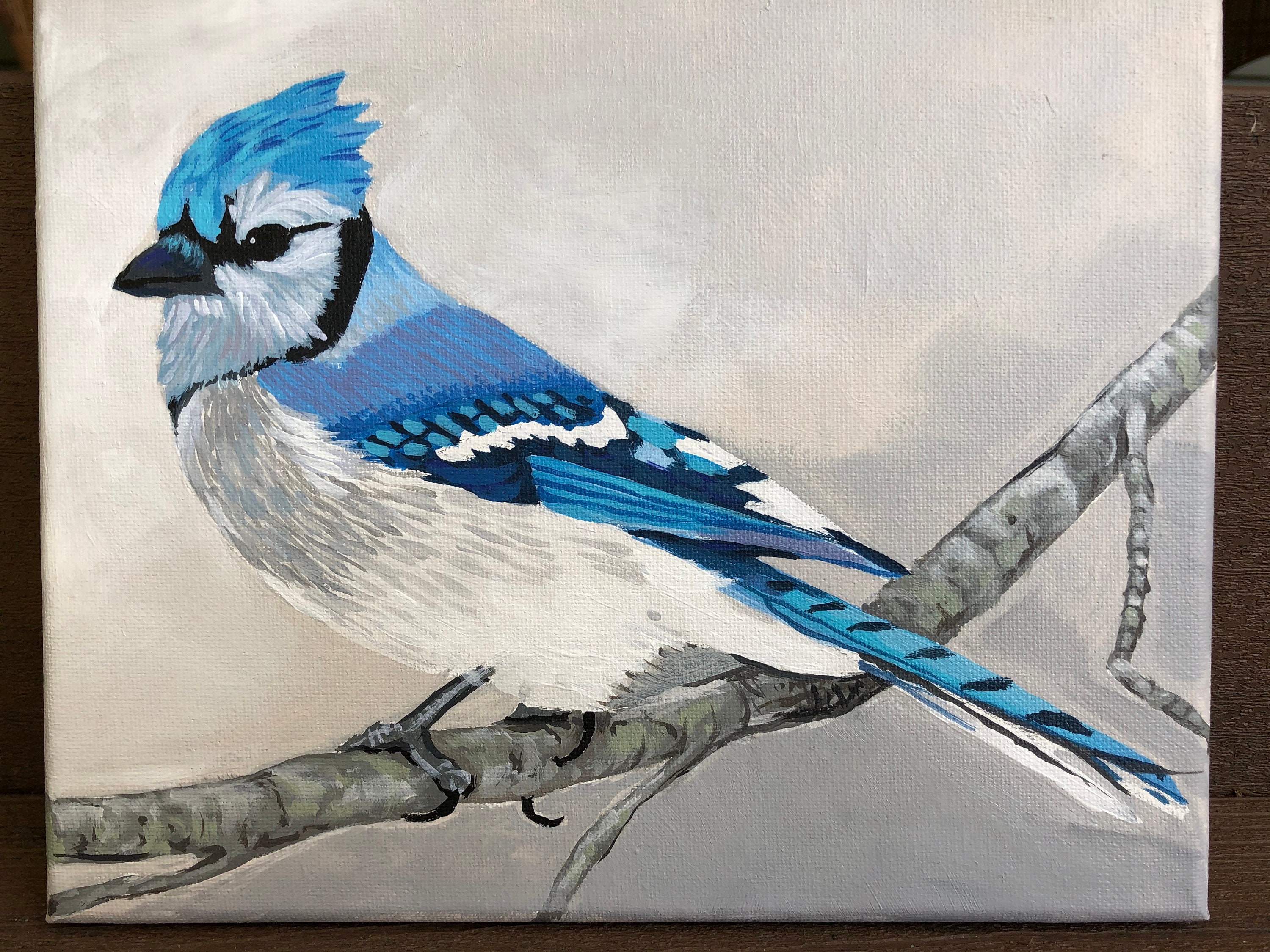 Bluejay Painting - Etsy