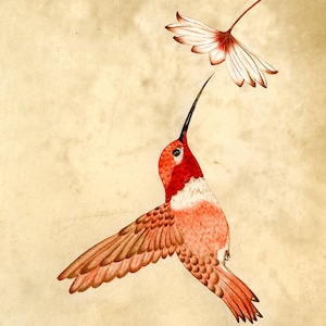 Hummingbird in Red (Miniature, Traditional Turkish/Persian art)