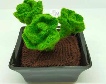 Cactus roses aloe vera succulentes corail hyperbolique fait main crochetés dans pots