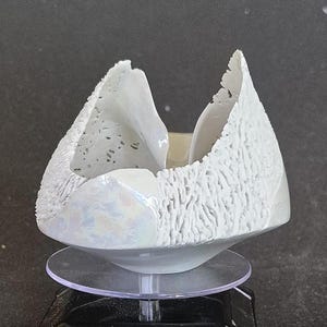 Altered Porcelain Bowl. Wheel thrown. Hand carved. Luster glaze. Coral design carving. Signed. Handmade. 4.5 inches diameter.