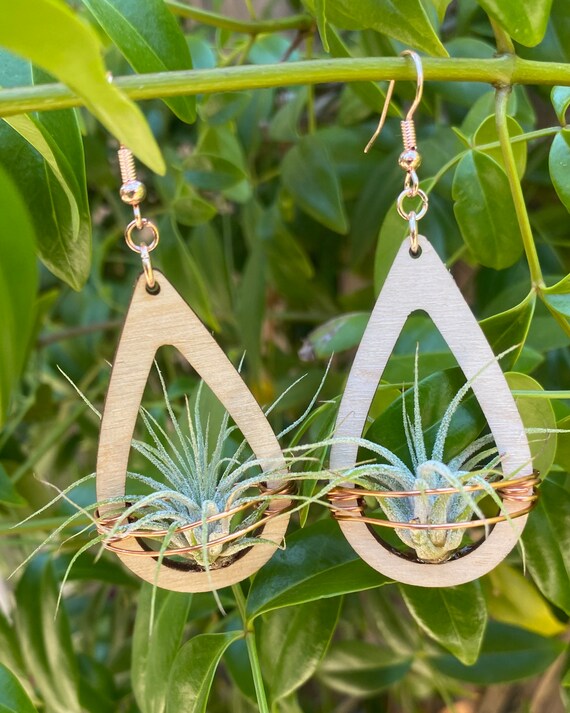 hanging plant hooks 2Pcs/set Hanging Basket Brackets, Wall Planter Hooks for Flower Pot Bird Feeder Wind Lanterns main image 0