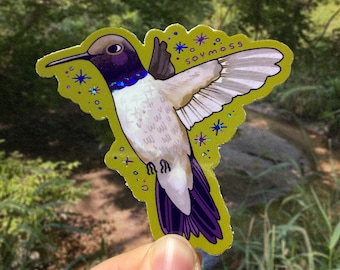 Colibrí barbinegro con pegatinas brillantes de la serie Colibríes de Norteamérica