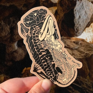 Pegatina de fósil de abrazos triásicos