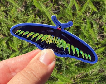 Rajah Brooke's Birdwing Butterfly Glitter Sticker