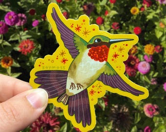 May include: A die-cut sticker featuring a hummingbird in flight with green, white, and purple plumage, a bright red throat patch, and yellow background accents with star motifs. The text soymoss is printed in small letters on the left wing.