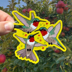 May include: A yellow sticker featuring three hummingbirds with red throats, green wings, and long black beaks. The sticker has a white border and is decorated with small orange stars. The word "soymoss" is printed on the sticker.