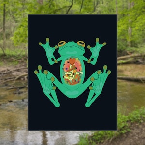 May include: A graphic illustration of a green frog centered on a black background. The frog has a transparent midsection revealing a colorful internal display of various small shapes, including a red heart and the text soymoss in small letters.