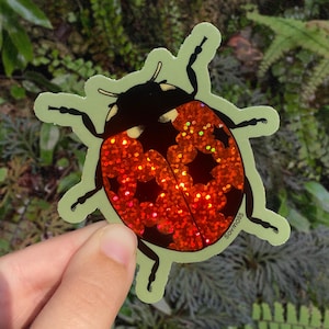 Puede incluir: Una pegatina de mariquita con cabeza y cuerpo negros, y alas rojas y brillantes. La pegatina tiene un contorno verde claro y el texto "soymoss" es visible. La pegatina se sostiene sobre un fondo de follaje verde.