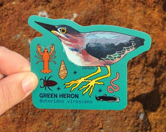 Green Heron Scientific Matte Sticker