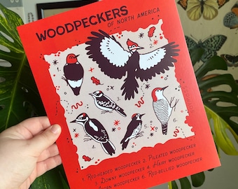 Pájaros carpinteros de Norteamérica. Lámina de 20 x 25 cm (8" x 10").