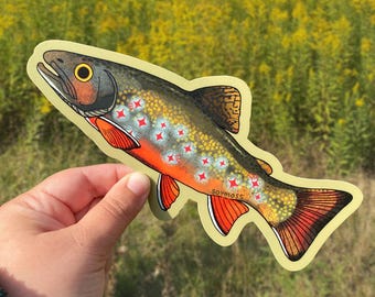 Pegatina para parachoques de trucha de arroyo