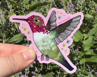 Anna's Hummingbird Glitter Sticker Hummers of North America Series
