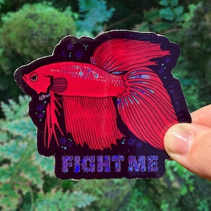 May include: A red Betta fish sticker with the text "FIGHT ME". The sticker features a detailed illustration of the fish with flowing fins and a dark background with stars. The sticker is held by a hand.