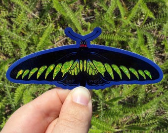 Pegatina brillante de mariposa Birdwing de Rajah Brooke