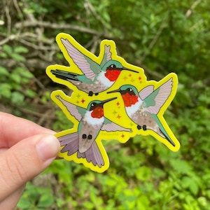 Ruby-Throated Hummingbird Trio Glitter Sticker