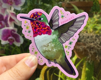 Pegatinas brillantes de colibríes de Anna: Serie Colibríes de Norteamérica