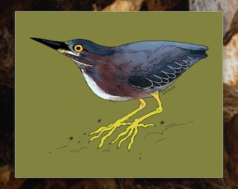 Green Heron Art Print