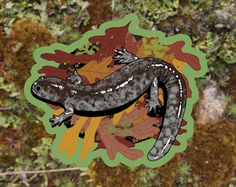 Pegatina mate de salamandra de boca pequeña