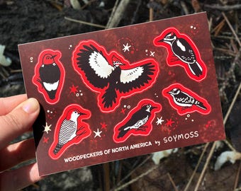 Hoja de pegatinas de pájaros carpinteros