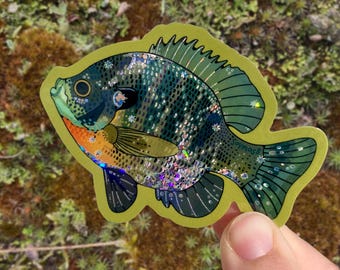 Bluegill Glitter Sticker