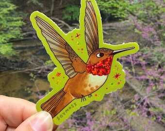 Colibrí rojizo brillante, serie Colibríes de Norteamérica