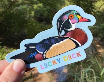 Pegatinas de patos de madera Lucky Duck