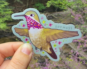 Pegatinas brillantes de colibrí Calliope de la serie Colibríes de Norteamérica