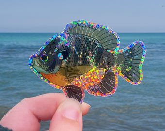 Bluegill Glitter Sticker - Waterproof Weatherproof Vinyl Decal Fisherman’s Gift