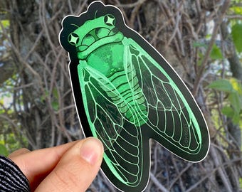 Pegatina transparente y mate de cigarra de ojos estrellados