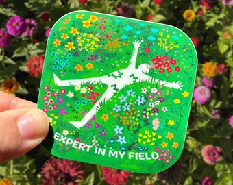 Expert in my Field Stickers & Magnet