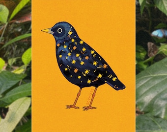 Starling Art Print