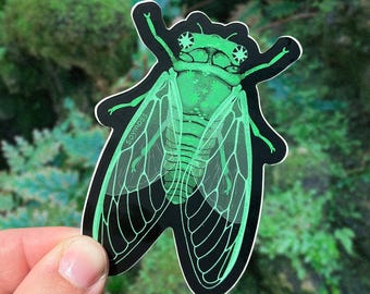 Starry-Eyed Cicada Clear & Matte Sticker