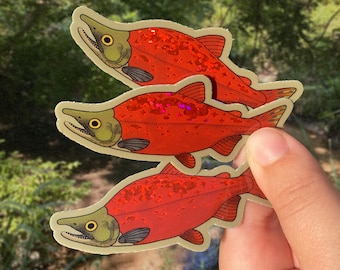 Pegatina de salmón rojo con brillantina