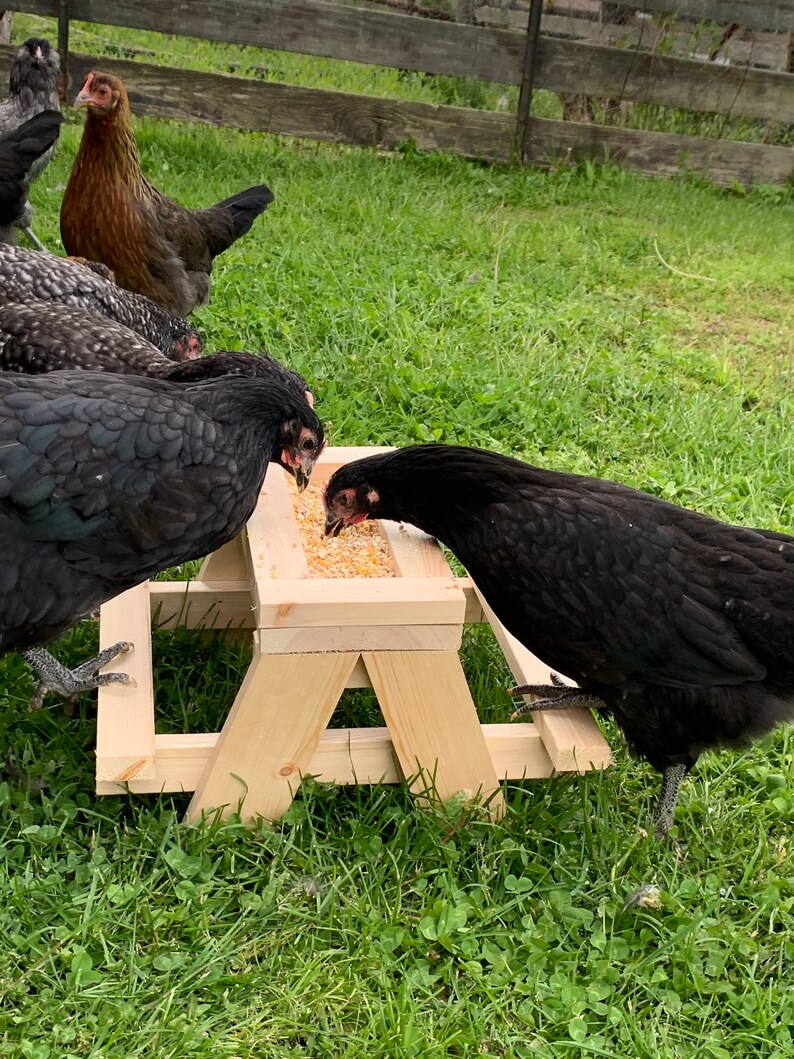 Chicnic Table Chicken Picnic Table Etsy