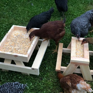 Chicnic Table, Chicken Picnic Table