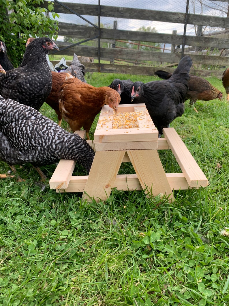 Chicnic Table Chicken Picnic Table Etsy